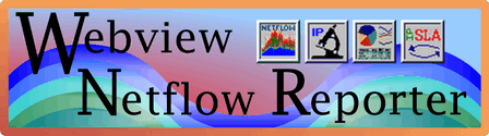 Webview Netflow Reporter